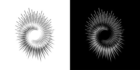 Dynamic abstract spiral sound wave rhythm lines. Circular spiral sound wave rhythm of lines. Circular futuristic abstract lines, black and white background.	