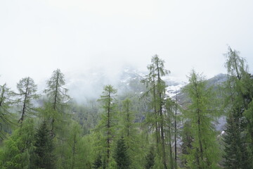 Siguniangshan is Chinese mountain in Chengdu. Nature view with fog on top of mountain