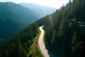 Aerial view of a scenic route with sharp turns surrounded by tall evergreens - Drone shot over a winding mountain road cutting through dense pine forest