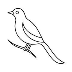 Fototapeta premium Simple black and white outlined bird perched on a twig for various design projects