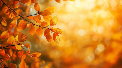 This picture shows a golden autumn leaf with sunlight filtering through, casting warm light and creating a peaceful and beautiful autumn atmosphere.