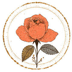 frame, flower, floral, border, decoration, leaf, flowers, pink, vector, design, nature, spring, wreath, illustration, pattern, art, card, beauty, blossom, summer, plant, bloom, heart, ornament, love, 