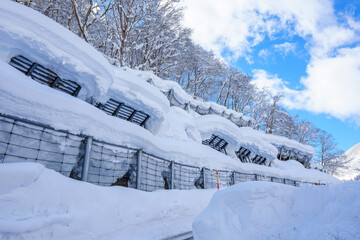 250223秋山郷見玉、清水川原