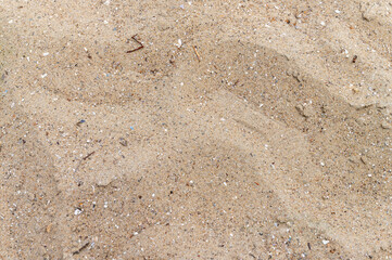 Beach sand texture close-up. A close-up of the natural texture of fine beach sand. Sandy background