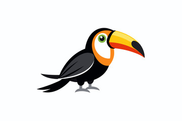 toucan bird isolated on white