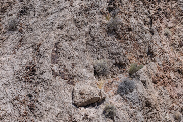 (Pkt) Kaibab Formation and Toroweap Formation, limestone or dolostone. Valley of Fire Road (Valley of Fire Highway), Clark County, Nevada geology