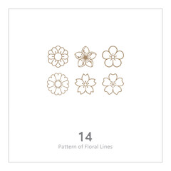 Fototapeta premium Pattern of Floral Lines, Ornamental Line Art, Decorative Stripe Design
