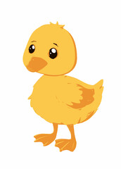 Adorable Yellow Duckling Illustration Cute Baby Bird Cartoon