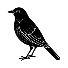 Vector illustration of a stylish black bird silhouette on isolated white background