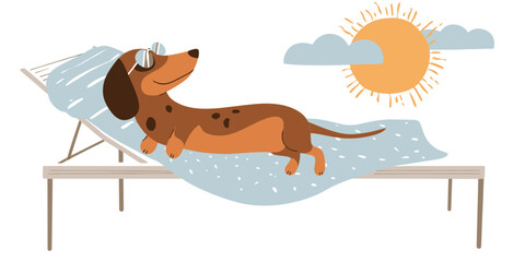 Dachshund Dog Relaxing on a Lounger in the Sun