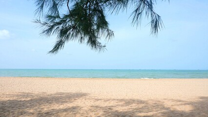 Sky, sea, sandy beach and shadows of pine trees in summer.