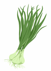 Fresh Green Onions Isolated on White Background Culinary Herb Illustration