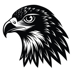 Fototapeta premium A majestic eagle's head is depicted in a detailed black and white illustration, showcasing its sharp beak and piercing gaze.