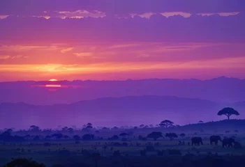 Fototapete Rund Majestic elephants grazing under a vibrant sunset in the savanna landscape © M. Hieber