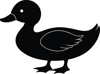 duck isolated on white