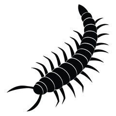 Isolated black silhouette illustrations of a spider, scorpion, crayfish, and centipede on white