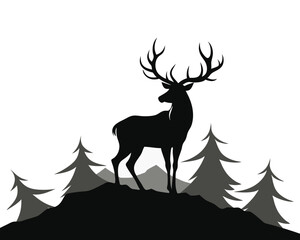 Obraz premium deer in the forest