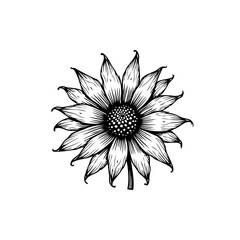 Monochrome Sunflower Illustration: Detailed Botanical Art with Elegant Black Lines
