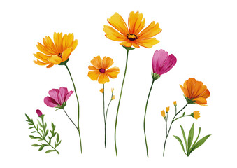 Watercolor Wildflower Bouquet Illustration