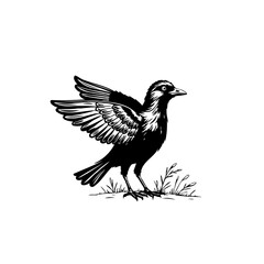 Monochrome illustration of a bird flapping its wings against a white backdrop