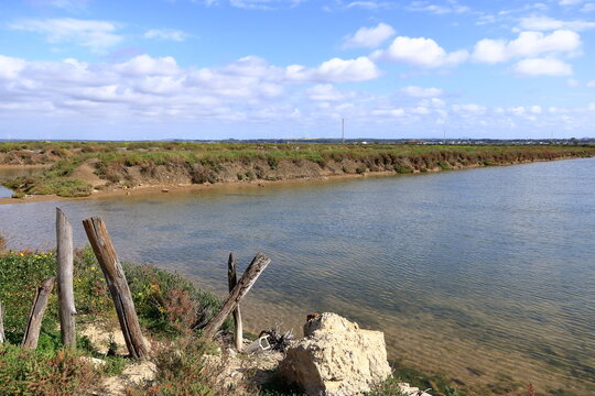 scenic landscape in Bay of Cadiz (Bahia de Cadiz) Natural Park, Andalucia, Spain