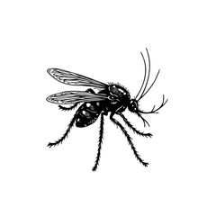 Detailed Black and White Mosquito Illustration: Vector Graphic for Design Projects