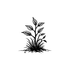 Elegant Black and White Illustration of a Plant with Leaves and Grass, Simplicity