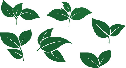 "Green Harmony: Nature&rsquo;s Essence in Every Leaf"