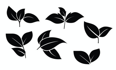 "Green Harmony: Nature&rsquo;s Essence in Every Leaf