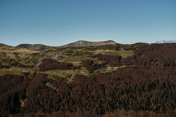 Panoramic view of the Komovi mountains in Montenegro during autumn. Rolling hills, scattered rural cabins, and colorful forests stretch under a clear blue sky in a tranquil setting.