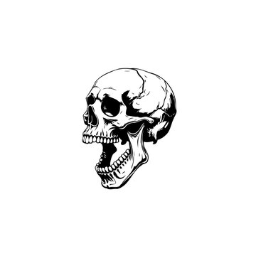Detailed Skull Illustration in Black and White, perfect for edgy design projects