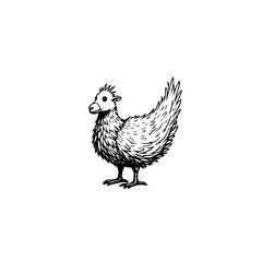 Detailed monochrome line art illustration of a quirky cartoon style bird drawing