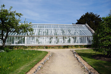 Fototapeta premium Greenhouse in the garden of a house in the countryside.
