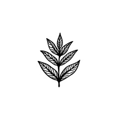 Minimalist leaf design, a simple and elegant botanical illustration on a white background