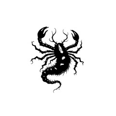 Monochrome scorpion illustration with intricate details isolated on white background