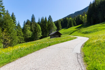Schmale Straße, die an einer Wiese und Holzhütte entlang durch einen Wald führt