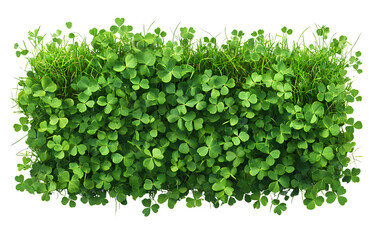 Naklejka premium Green Grass Mixed with Clover Leaves, Transparent Background