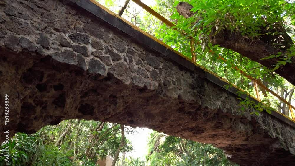 Poster descending view of a rustic stone bridge and pathway in parque chapultepec