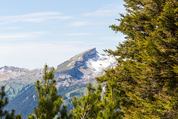 Verschneiter Berggipfel des Hohen Ifen und das Gottesackerplateau zwischen dichten Nadelwäldern im...