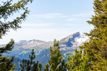 Verschneiter Berggipfel des Hohen Ifen und das Gottesackerplateau zwischen dichten Nadelwäldern im...