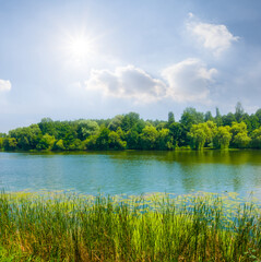 summer calm river with forest on coast under a sparkle sun