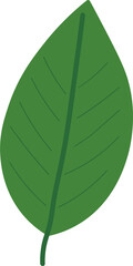 Tropical Leaf Vector Illustration - Flat Green Botanical Elements