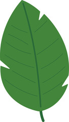 Tropical Leaf Vector Illustration - Flat Green Botanical Elements