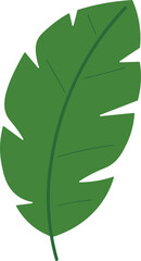 Tropical Leaf Vector Illustration - Flat Green Botanical Elements