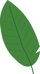 Tropical Leaf Vector Illustration - Flat Green Botanical Elements