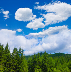 mountain valley covered by green forest in dense mist and clouds