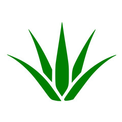aloe vera plant, leaf flat log icon 