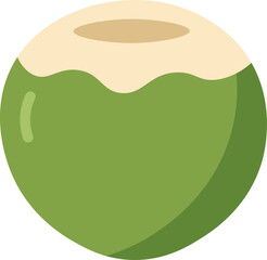 Tropical Coconut Drink Vectors - Green Coconuts Flat Design