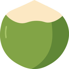 Tropical Coconut Drink Vectors - Green Coconuts Flat Design