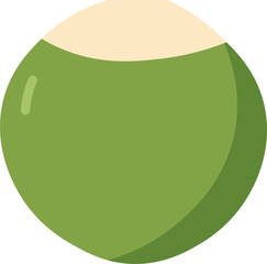 Tropical Coconut Drink Vectors - Green Coconuts Flat Design